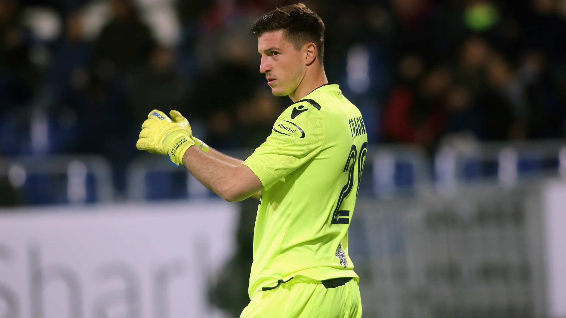 杨金蒙并非 杨金蒙并非